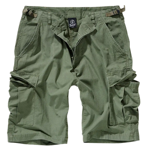 Bdu Ripstop Shorts - Brandit